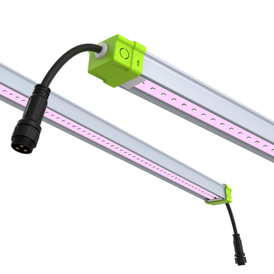 Luz de cultivo LED lineal de alta potencia de 40 vatios para orquídeas
