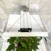 LED de jardín de alto rendimiento Cultive la luz para los tomates