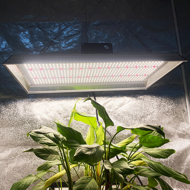 Luz de cultivo LED hidropónica de 200w para plantas de maceta