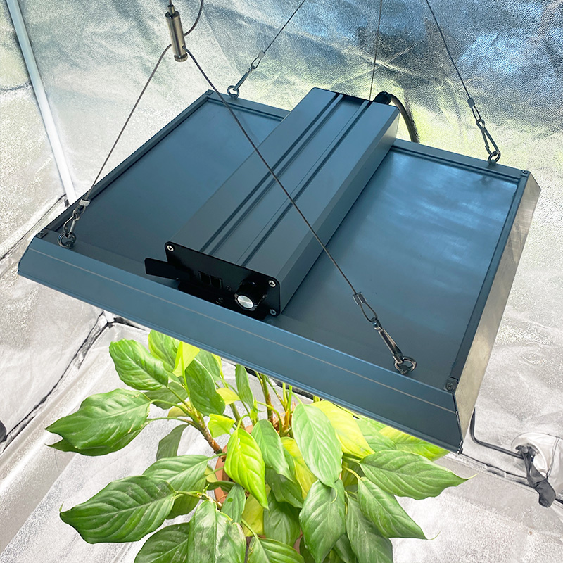 Luz de cultivo LED profesional de 100w para plantas de maceta