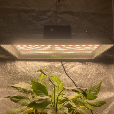 Smart Professional LED Crece la luz para los tomates