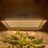 Hidropónico de 400 vatios LED Cultive la luz para las plantas de la olla