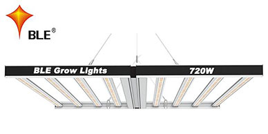 El principio de luz de crecimiento LED araña plegable y precauciones de uso
