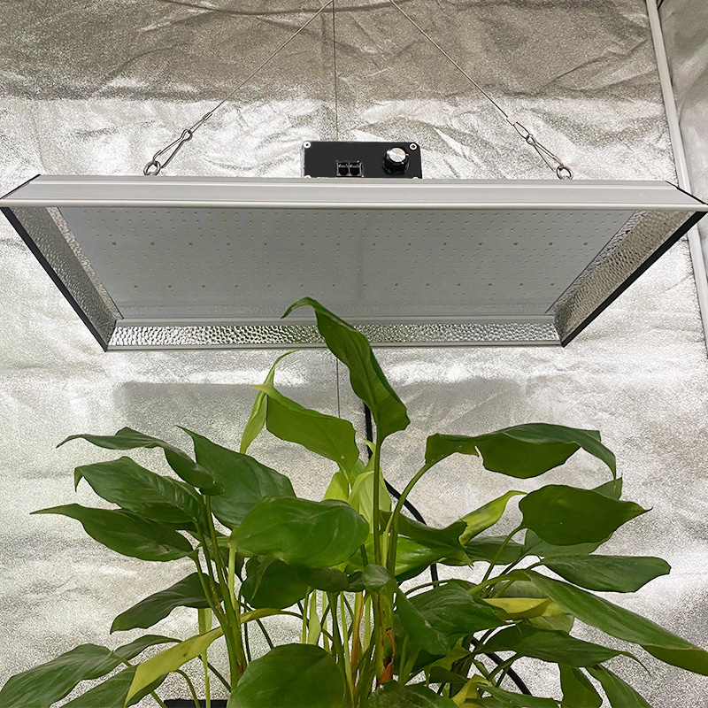 Luz de cultivo LED impermeable para interiores para tomates
