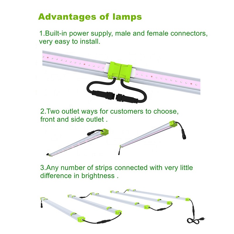 Luz de cultivo LED lineal impermeable de 100w para plantas tropicales