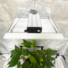 LED de espectro completo de bajo consumo de energía para tomates
