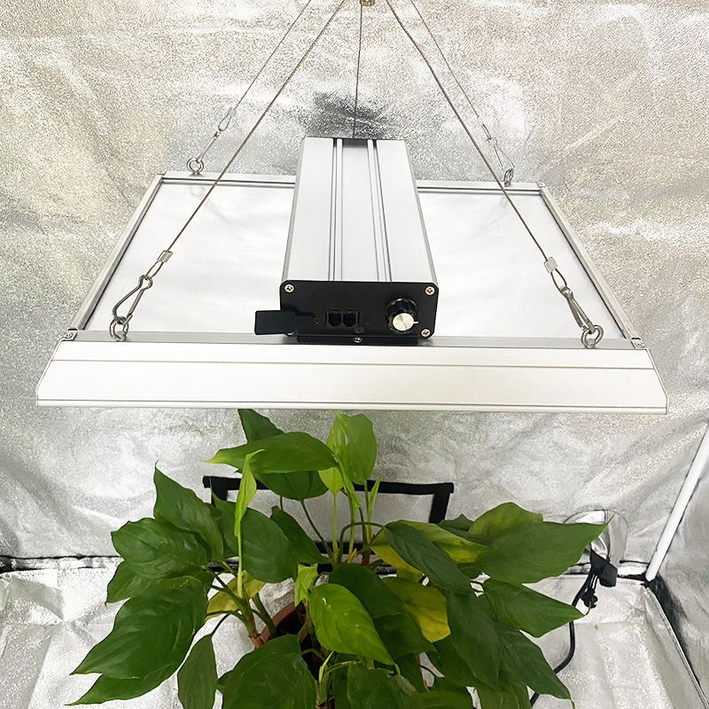 LED de espectro completo de bajo consumo de energía para tomates