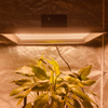 LED de jardín de bajo consumo de energía para plantas tropicales